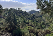 Sòl urbà en venda a la A-397, Benahavís, ref.: TR62707 foto