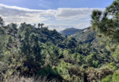 Sòl urbà en venda a la A-397, Benahavís, ref.: TR62707 foto
