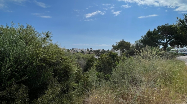 Islas Baleares - Cala Egos - 1000m2