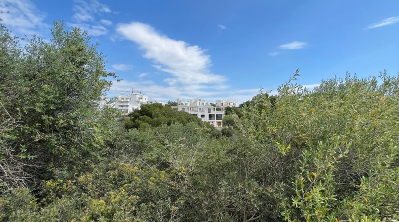 Islas Baleares - Cala Egos - 1000m2