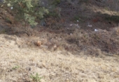 Sòl urbà en venda a la Avinguda de Maristany, Sant Quintí de Mediona, ref.: TR63034 foto