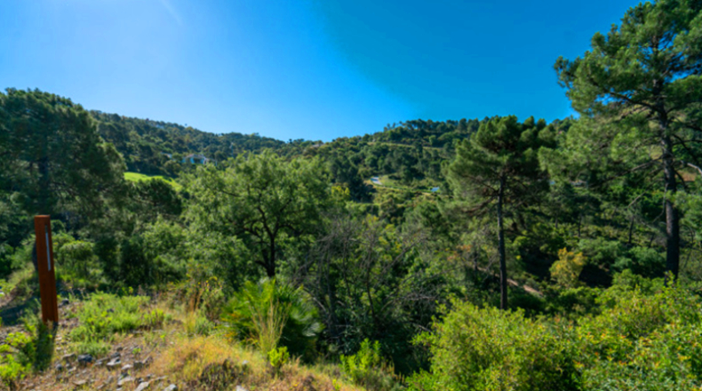 Málaga - Los Mozos - 5020m2