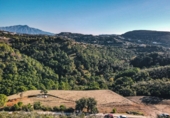 Sòl urbà en venda a la Club Montemayor, ref.: TR63255 foto