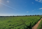 Terreno no urbanizable en venta en la Cala Llombards, ref: TR63323 foto