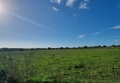 Terreno no urbanizable en venta en la Cala Llombards, ref: TR63323 foto