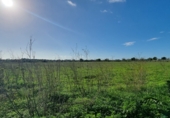 Terreno no urbanizable en venta en la Cala Llombards, ref: TR63323 foto