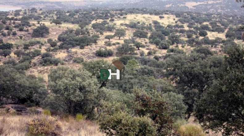 Cáceres - Navalmoral de la Mata - 8000000m2