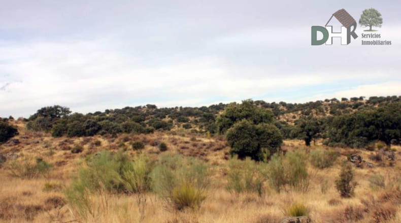 Cáceres - Navalmoral de la Mata - 8000000m2