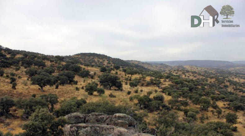 Cáceres - Navalmoral de la Mata - 8000000m2