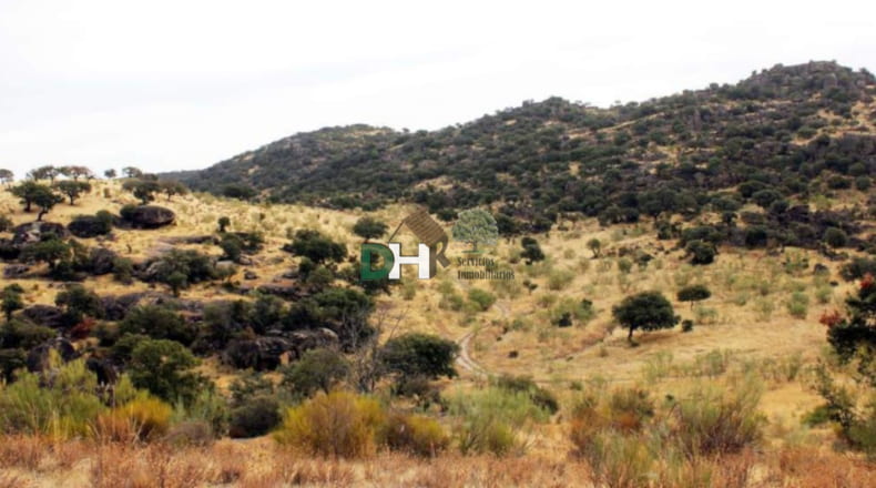 Cáceres - Navalmoral de la Mata - 8000000m2