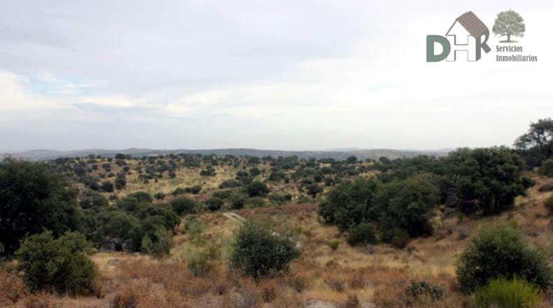 Cáceres - Navalmoral de la Mata - 8000000m2