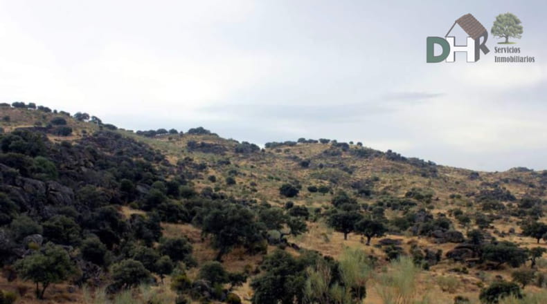 Cáceres - Navalmoral de la Mata - 8000000m2
