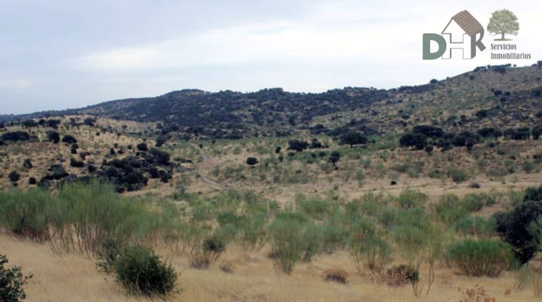 Cáceres - Navalmoral de la Mata - 8000000m2