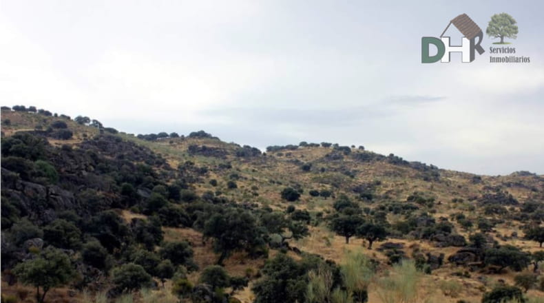 Cáceres - Navalmoral de la Mata - 8000000m2