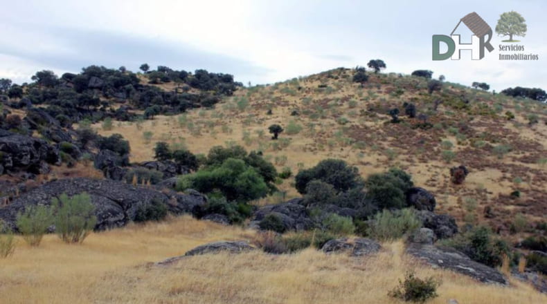 Cáceres - Navalmoral de la Mata - 8000000m2