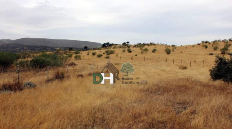 Cáceres - Navalmoral de la Mata - 8000000m2