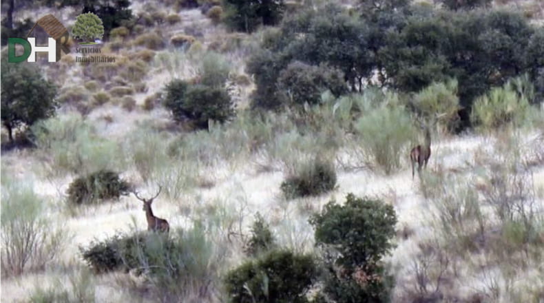 Cáceres - Navalmoral de la Mata - 8000000m2