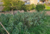 Terreny amb magatzem en venda a la Segur de Calafell, Calafell, ref.: TR63986 foto