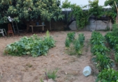 Terreny amb magatzem en venda a la Segur de Calafell, Calafell, ref.: TR63986 foto