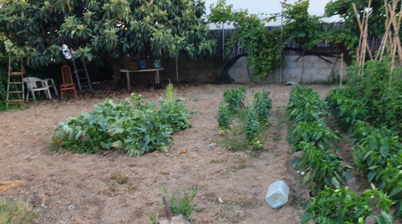 Tarragona - Calafell - 600m2