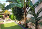 Chalet independiente con terreno en venta en la Mas de Santo Domingo, ref: TR63994 foto