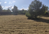 Terreno no urbanizable en venta en la Godelleta, ref: TR64017 foto