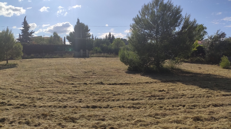 Valencia - Godelleta - 1800m2