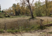 Terreno con Ruinas en venta en la Chelva, ref: TR64016 foto
