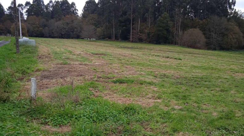 La Coruña - Igrexa - Calo - 11000m2
