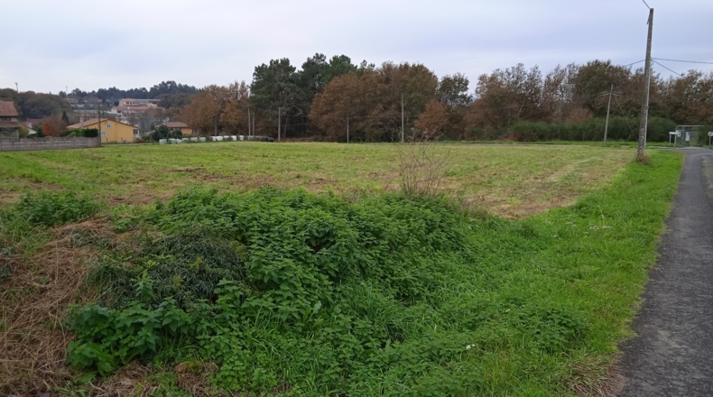 La Coruña - Igrexa - Calo - 11000m2