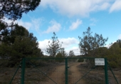 Terreny no urbanitzable en venda a la La Buenafuente del Sistal, ref.: TR64524 foto
