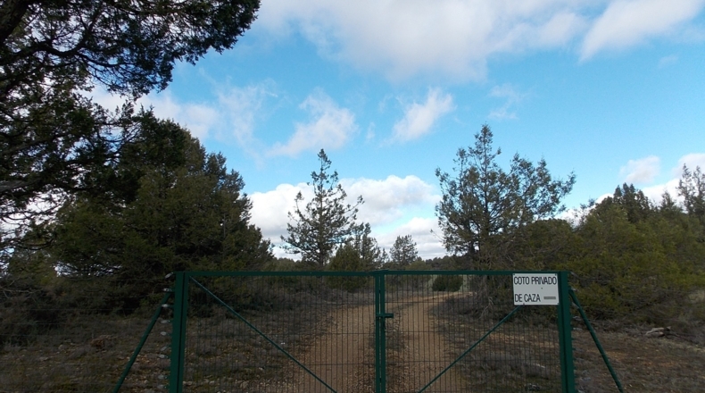 Guadalajara - La Buenafuente del Sistal - 4250000m2