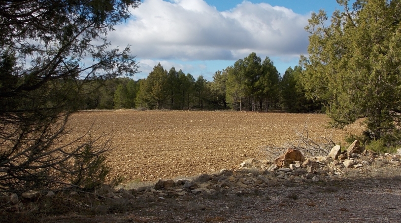 Guadalajara - La Buenafuente del Sistal - 4250000m2