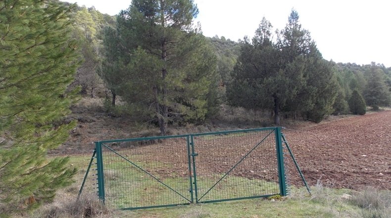 Guadalajara - La Buenafuente del Sistal - 4250000m2