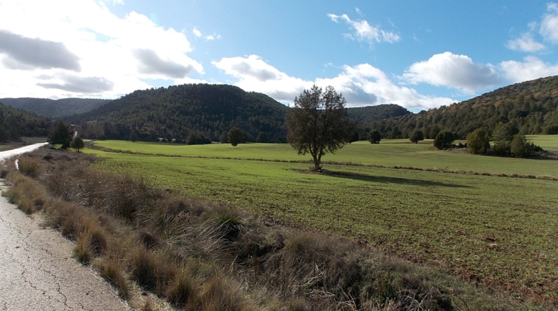 Guadalajara - La Buenafuente del Sistal - 4250000m2