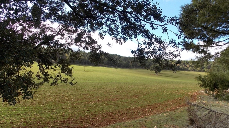 Guadalajara - La Buenafuente del Sistal - 4250000m2