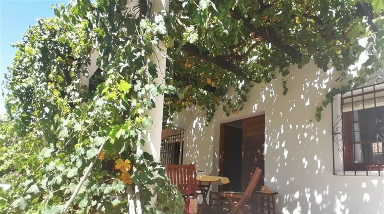 Málaga - Genalguacil - 10550m2