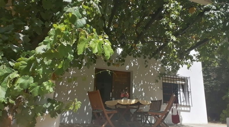 Málaga - Genalguacil - 10550m2