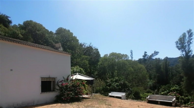 Málaga - Genalguacil - 10550m2