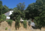 Casa de camp amb terreny en venda a la Genalguacil, ref.: TR64923 foto