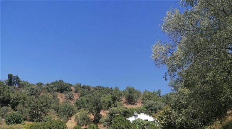 Málaga - Genalguacil - 10550m2