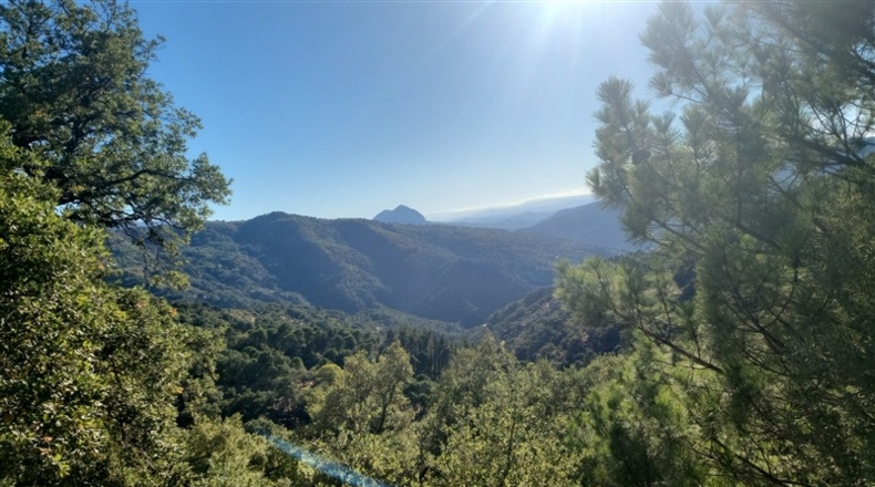 Málaga - Jubrique - 70000m2
