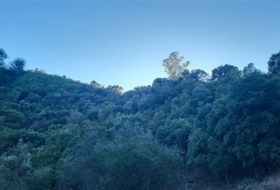 Jubrique 70000&nbsp;m² 