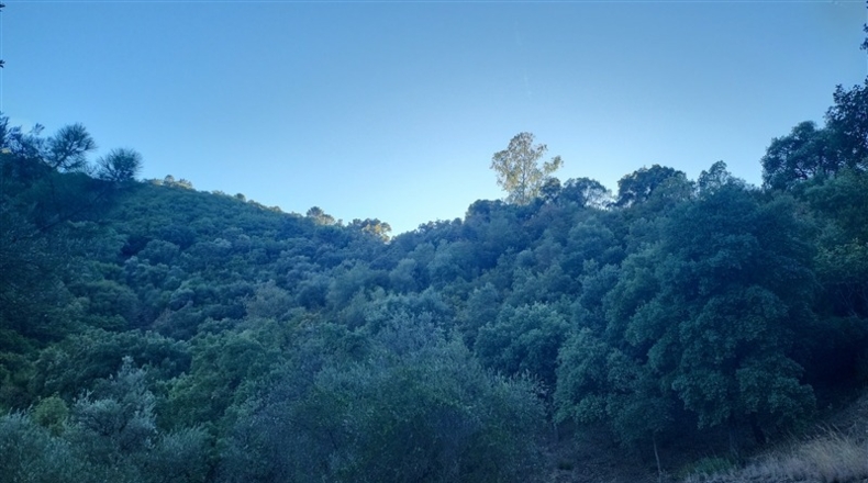 Málaga - Jubrique - 70000m2