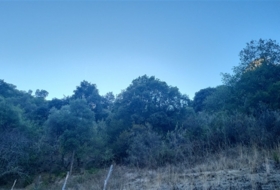 Jubrique 70000&nbsp;m² 