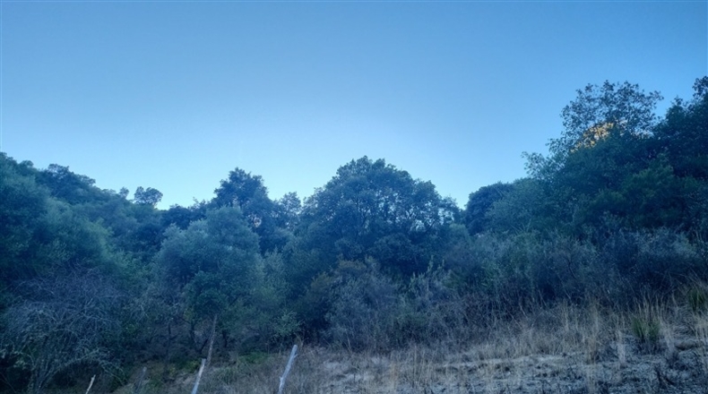 Málaga - Jubrique - 70000m2