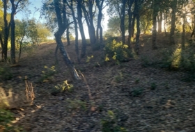 Jubrique 70000&nbsp;m² 