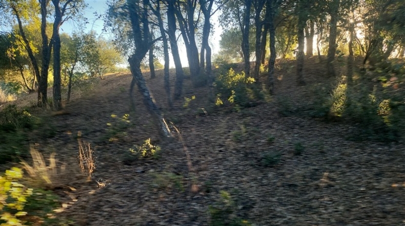 Málaga - Jubrique - 70000m2