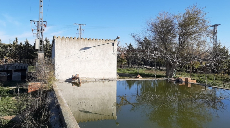 Toledo - El Carpio de Tajo - 100000m2