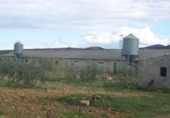 Granja en venda a la Mendoza, Alpartir, ref.: TR65093 foto